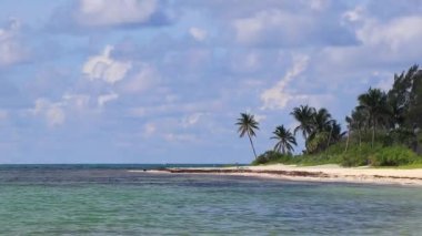 Tropical caribbean beach landscape panorama with clear turquoise blue water in Playa del Carmen Mexico.