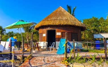 Palmiye ağaçları şemsiyeler ve güneş şemsiyeleri Playa del Carmen Mexico 'daki tropik Meksika sahillerindeki resif coco plajı tatil beldesinde..