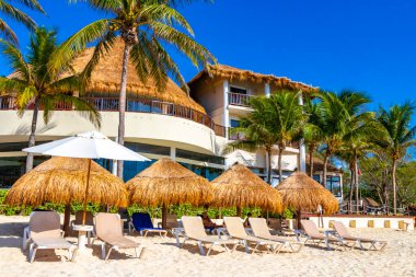 Palmiye ağaçları şemsiyeler ve güneş şemsiyeleri Playa del Carmen Mexico 'daki tropik Meksika sahillerindeki resif coco plajı tatil beldesinde..