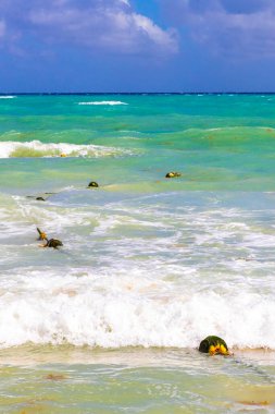 Güzel mavi ve turkuaz Karayip su dalgaları okyanus ve sarı turuncu şamandıra ve ipler Quintana Roo Mexico 'da Playa del Carmen' in sularında.
