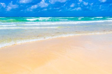 Tropical caribbean beach landscape panorama with clear turquoise blue water in Playa del Carmen Mexico.