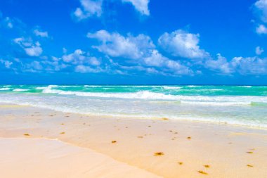 Tropical caribbean beach landscape panorama with clear turquoise blue water in Playa del Carmen Mexico.