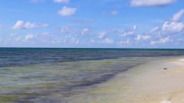 Tropical caribbean beach landscape panorama with clear turquoise blue water in Playa del Carmen Mexico.