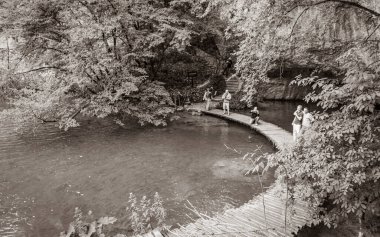 Göl kıyısında yaya köprüsünde turistlerle manzara. Hırvatistan 'da Plitvice Lakes Ulusal Parkı.