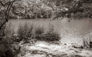 Plitvice Lakes Ulusal Parkı şelalesi Hırvatistan 'da turkuaz mavi ve yeşil sularla çevrili.
