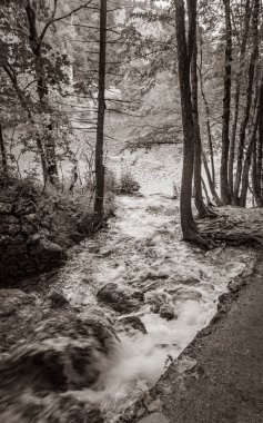 Plitvice Lakes Ulusal Parkı şelalesi Hırvatistan 'da turkuaz mavi ve yeşil sularla çevrili.