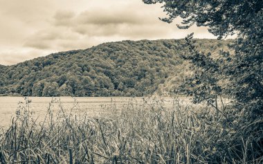 Plitvice Lakes Ulusal Parkı Hırvatistan 'da turkuaz mavi ve yeşil sularla renklendirilmiş manzara.