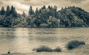 Plitvice Gölleri Ulusal Parkı Hırvatistan 'da şelaleli mavi ve yeşil renkli turkuaz su.