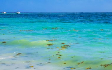 Boat yacht ship ferry jetty pier and harbor at the tropical mexican caribbean beach panorama view in Playa del Carmen Quintana Roo Mexico.