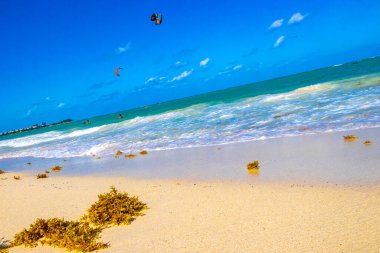 Tropical Caribbean beach landscape panorama with clear turquoise blue water and seaweed sargazo in Playa del Carmen Mexico.