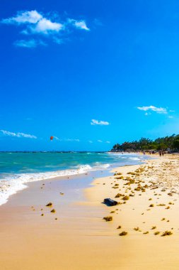 Tropical Caribbean beach landscape panorama with clear turquoise blue water and seaweed sargazo in Playa del Carmen Mexico.