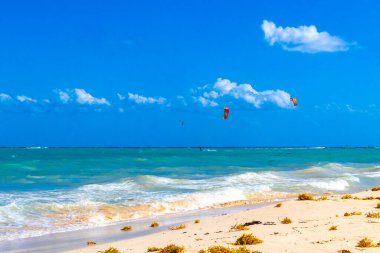 Tropical Caribbean beach landscape panorama with clear turquoise blue water and seaweed sargazo in Playa del Carmen Mexico.