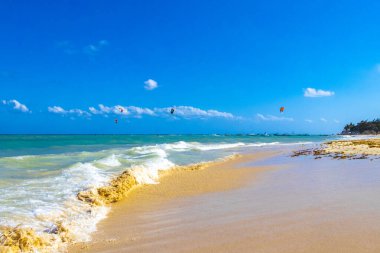 Tropical caribbean beach landscape panorama with clear turquoise blue water in Playa del Carmen Mexico.