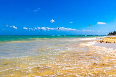 Tropical caribbean beach landscape panorama with clear turquoise blue water in Playa del Carmen Mexico.