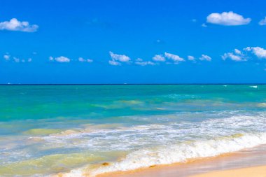 Tropical caribbean beach landscape panorama with clear turquoise blue water in Playa del Carmen Mexico.
