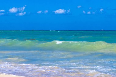 Tropical caribbean beach landscape panorama with clear turquoise blue water in Playa del Carmen Mexico.