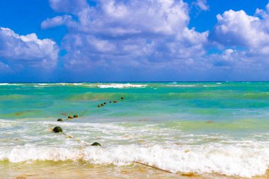 Tropical caribbean beach landscape panorama with clear turquoise blue water in Playa del Carmen Mexico.