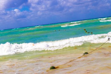 Tropical caribbean beach landscape panorama with clear turquoise blue water in Playa del Carmen Mexico.