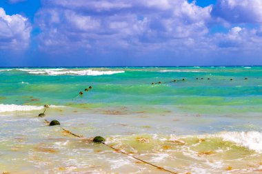 Tropical caribbean beach landscape panorama with clear turquoise blue water in Playa del Carmen Mexico.