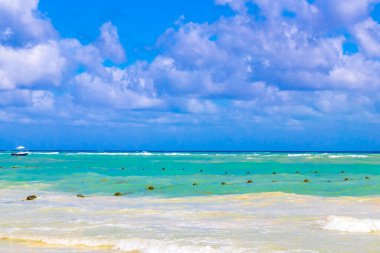 Tropical caribbean beach landscape panorama with clear turquoise blue water in Playa del Carmen Mexico.