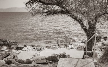 Novi Vinodolski Hırvatistan 'daki Akdeniz manzara gezisi bir ağacın arkasında.