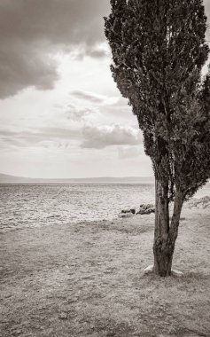 Novi Vinodolski Hırvatistan 'daki Akdeniz manzara gezisi bir ağacın arkasında.