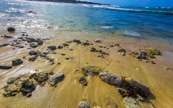 Playa del Carmen Quintana Roo Meksika sahilindeki turkuaz yeşil ve mavi sularda kayalar ve mercanlar..