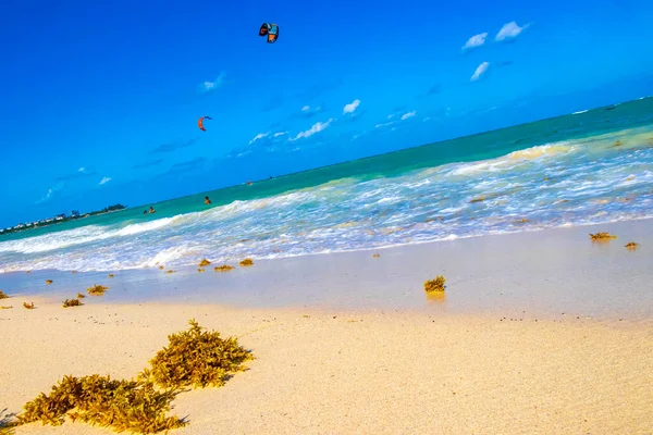 Tropical Caribbean beach landscape panorama with clear turquoise blue water and seaweed sargazo in Playa del Carmen Mexico.