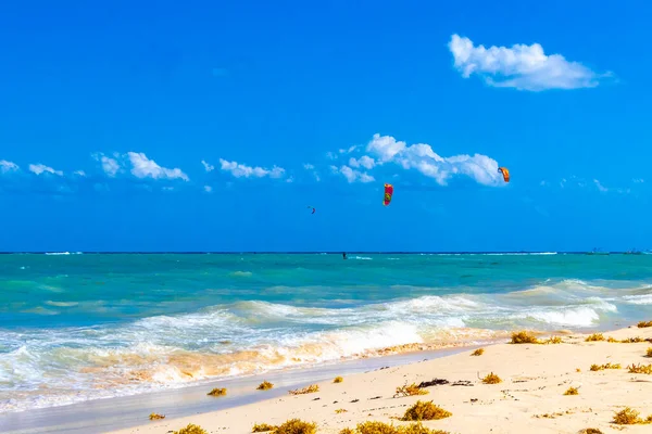 Tropical Caribbean beach landscape panorama with clear turquoise blue water and seaweed sargazo in Playa del Carmen Mexico.