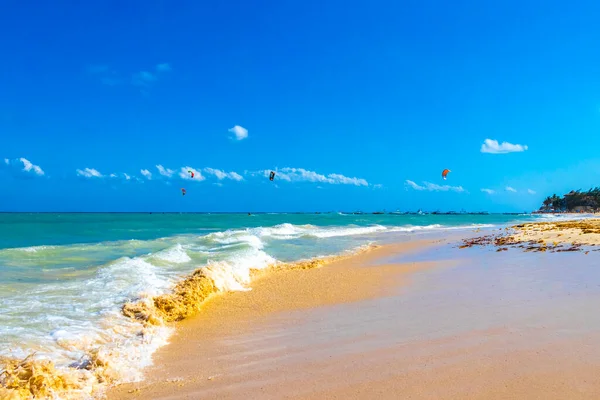 Tropical caribbean beach landscape panorama with clear turquoise blue water in Playa del Carmen Mexico.