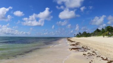 Tropical caribbean beach landscape panorama with clear turquoise blue water in Playa del Carmen Mexico.