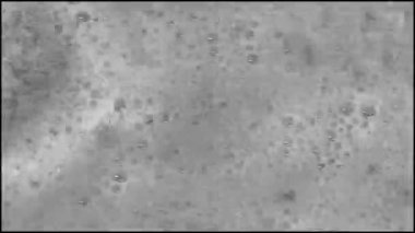 Stones shells and corals with waves on the beach sand in Playa del Carmen Quintana Roo Mexico.