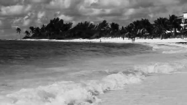 Black White Videos Tropical Caribbean Beach Landscape Panorama Clear Green — Stockvideo