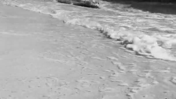 Black White Video Waves Tropical Mexican Beach Landscape Panorama Caribbean — Vídeos de Stock