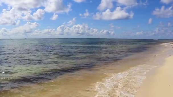 Tropical Caribbean Beach Landscape Panorama Clear Turquoise Blue Water Playa — Stock Video
