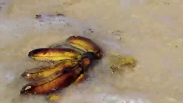 Bananpaket Frukter Flyter Vatten Stranden Playa Del Carmen Quintana Roo — Stockvideo