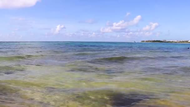 Tropical Caribbean Beach Landscape Panorama Clear Turquoise Blue Water Playa — Stockvideo