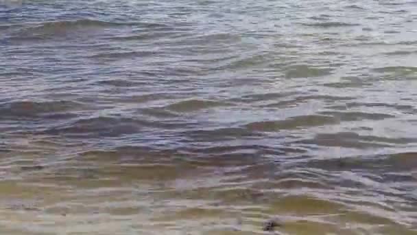 Vlny Tropické Mexické Pláži Krajina Panorama Karibské Moře Jasnou Tyrkysově — Stock video