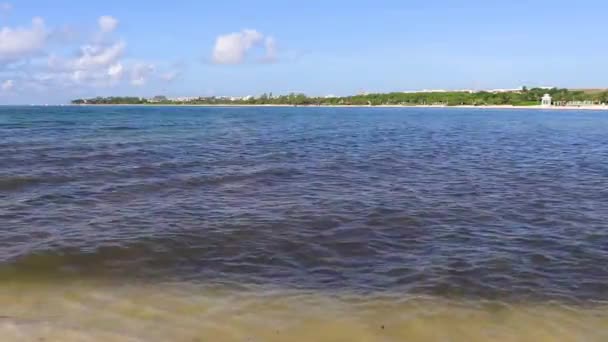 墨西哥普莱亚德尔卡门的热带驯鹿海滩景观全景 蓝水清澈碧绿 — 图库视频影像