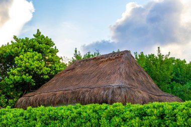 Playa del Carmen Quintana Roo 'daki tropikal plajda Palapa çatı ve tatil köyü..