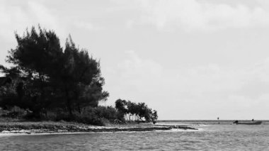 Tropical caribbean beach landscape panorama with clear turquoise blue water in Playa del Carmen Mexico.
