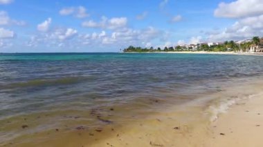 Tropical caribbean beach landscape panorama with clear turquoise blue water in Playa del Carmen Mexico.