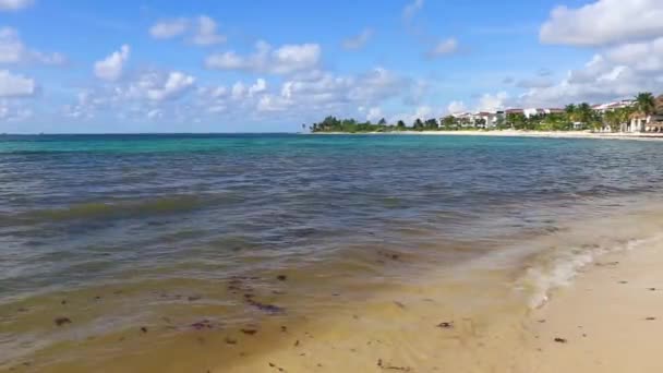 Tropical Caribbean Beach Landscape Panorama Clear Turquoise Blue Water Playa — Vídeos de Stock