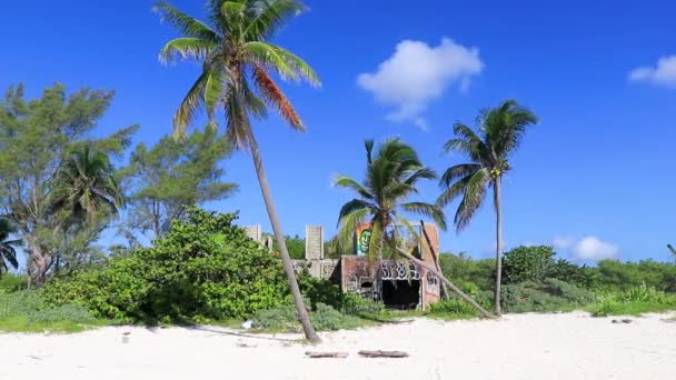 Palm Beach Ruins Playa Del Carmen Quintana Roo Mexico — Vídeos de Stock