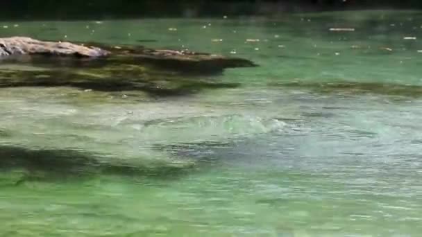 Malá Krásná Jeskyně Cenote Řekou Tyrkysově Modrou Vodou Pláži Punta — Stock video