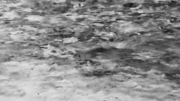 金塔纳罗奥州普莱塔埃斯梅拉达海滩上一个美丽的带有河流和绿松石蓝水的人参小洞 — 图库视频影像