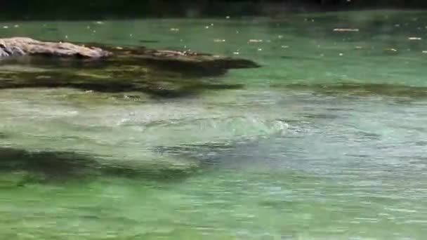 Маленька Прекрасна Печера Річкою Бірюзовою Блакитною Водою Пляжі Пунта Есмеральда — стокове відео
