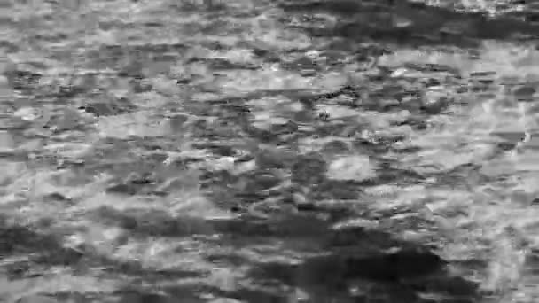 멕시코 카르멘 킨타나 에스메랄다 해변에 청록색 아름다운 세노테 — 비디오