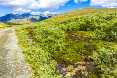 Dokunulmamış doğa nehirleri, kayalar, kayalar ve patika yolu İskandinavya 'daki Rondane Ulusal Parkı Ringbu Innlandet Norveç' te..
