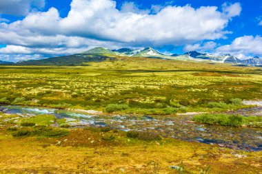 İskandinavya 'daki Rondane Ulusal Parkı Ringbu Innlandet Norveç' te el değmemiş doğa nehirleri, kayalar ve göller ile güzel bir dağ manzarası..
